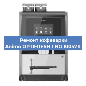 Замена прокладок на кофемашине Animo OPTIFRESH 1 NG 1004711 в Красноярске